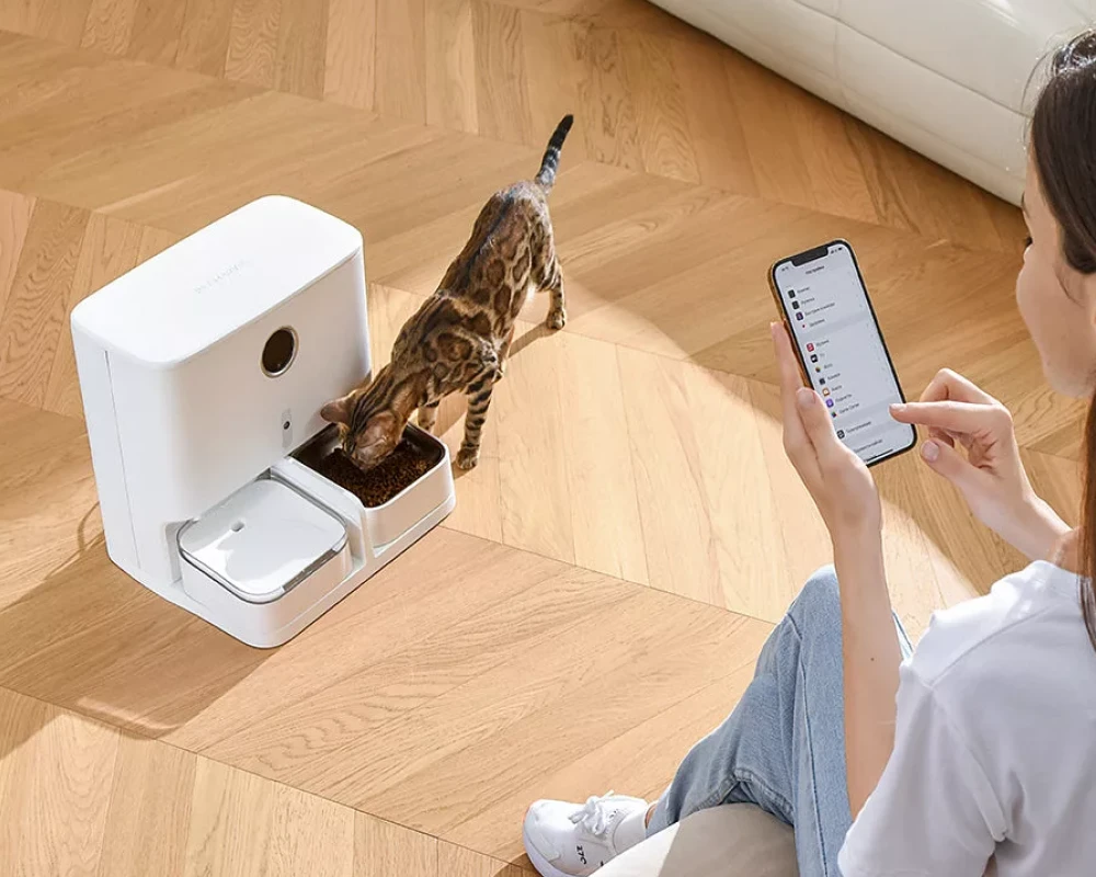 automatic dog feeder and water dispenser